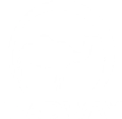 Leadway